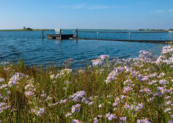 Fischerstieg Pier 17